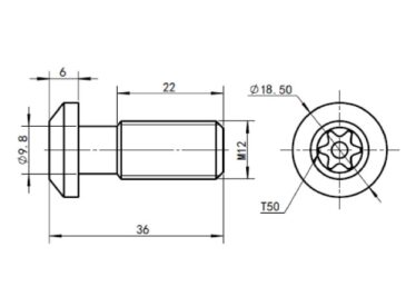 Parafuso de Montagem TORX Trilobular S12X30