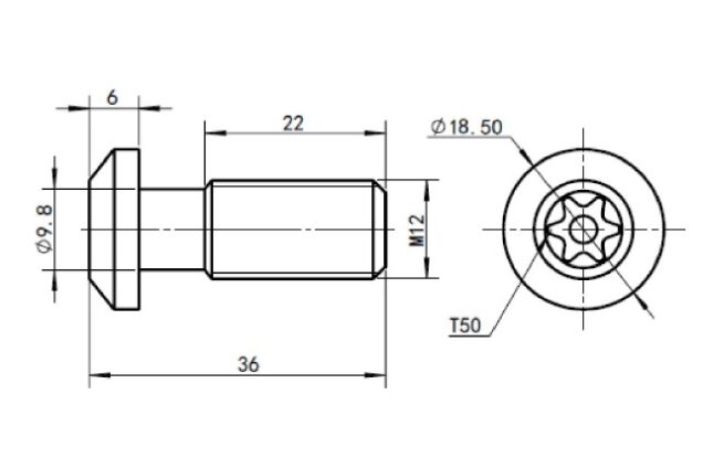 Parafuso de Montagem TORX Trilobular S12X30