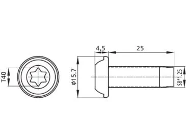 Parafuso de Montagem TORX Trilobular S8X25